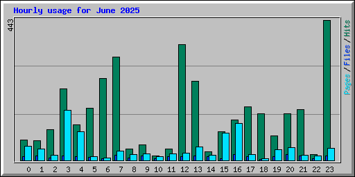 Hourly usage for June 2025